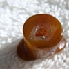 Condor Agate