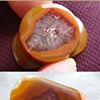 Condor Agate