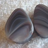 Botswana Agate