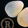 1" Peach Rutilated Quartz Teardrops