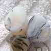Madagascar Dendritic Agate