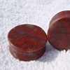 Petrified Wood