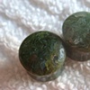 Petrified Wood
