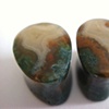 Wiggins Fork Petrified Wood