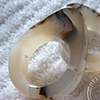 1 5/8" Madagascar Dendritic Agate Teardrop Eyelets