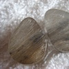 Rutilated Quartz with Lodolite