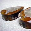 Condor Agate