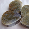 Ocean Jasper buddies