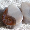 Condor Agate