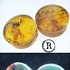 1 1/4" Green Amber