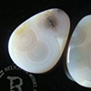 1/2" White Ocean Jasper Teardrops