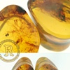 5/8" Green Amber Teardrops