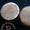 5/8" Petrified Wood