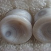 White Ocean Jasper