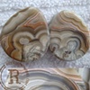 Crazy Lace Agate Teardrops