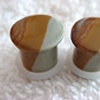 Blue Mustang Picture Jasper