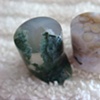Petrified Wood/White Ocean Jasper