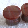 Petrified Wood