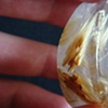 Rutilated Quartz (Detail)