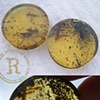 Chiapas Green Amber