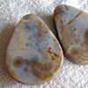 White Ocean Jasper