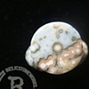 1/2" Ocean Jasper Labret