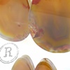 1 3/8" Condor Agate Teardrops