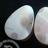 3/4" White Ocean Jasper Teardrops