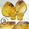 1 1/4" Amber with Conches
