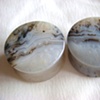 Dendritic Agate