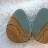 Blue Mustang Picture Jasper