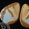 1 1/2" Blue Mustang Picture Jasper