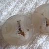 1 1/2" Petrified Wood Geode