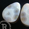 7/8" White Ocean Jasper Teardrops