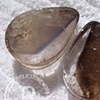 1 1/2" Alligator Quartz Concave Teardrops