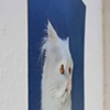 No. 16: PUPIL GAUGE

September 2011