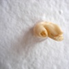 No. 5: SOLID ROCK