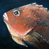 Fiskeportrett
