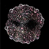 We R Dots