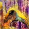 Woodland Kreature
