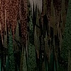 Forest.