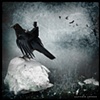 "Flight of the Ravens"