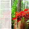 "True Hues" What to Expect Page