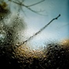 "Waiting for Spring"