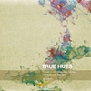 "True Hues" Cover Page