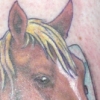 horseshoe