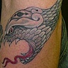 snake