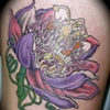 passion flower