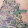 bud