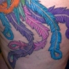 jeny's pheonix